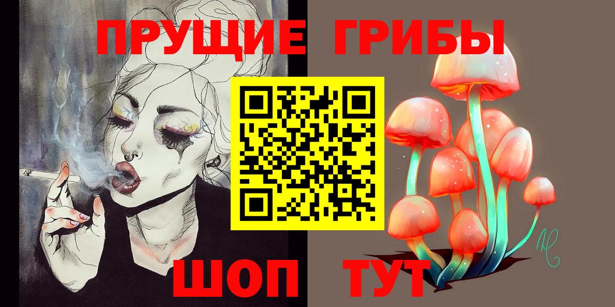Псилоцибиновые грибы GOLDEN TEACHER Артём