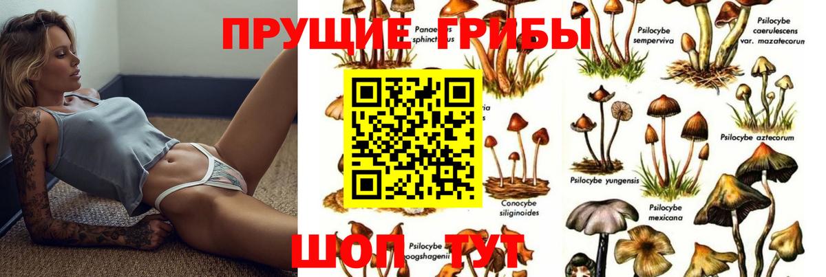 Галлюциногенные грибы GOLDEN TEACHER  Галлюциногенные грибы Psilocybine cubensis  Вход с VPN  Артём 